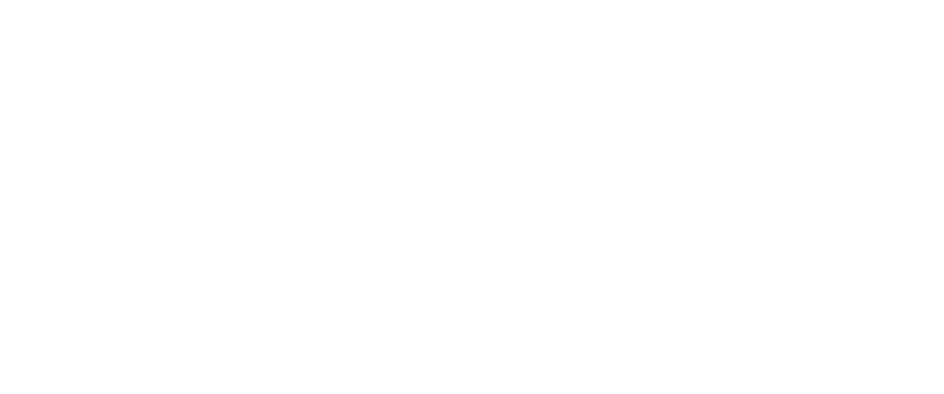 Slanted Door Logo
